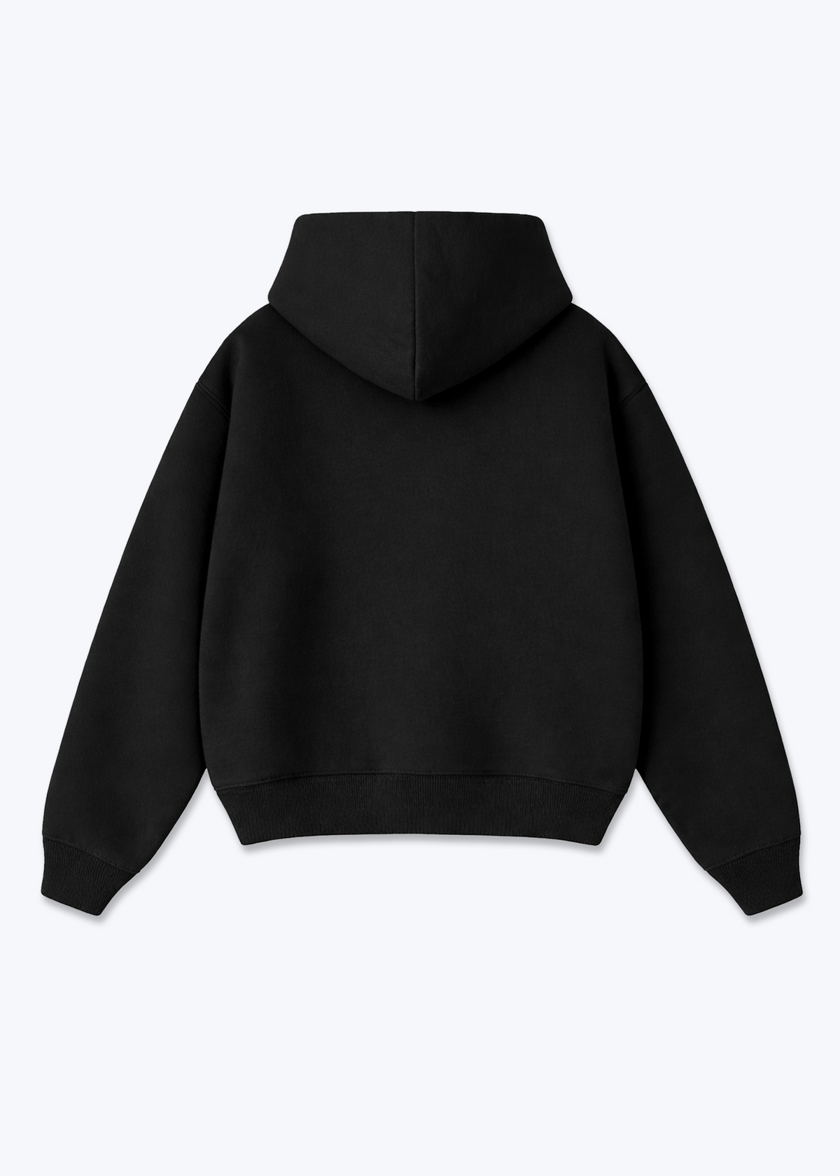 CLEAN BLANK - Zip Hoodie - Black Back Base