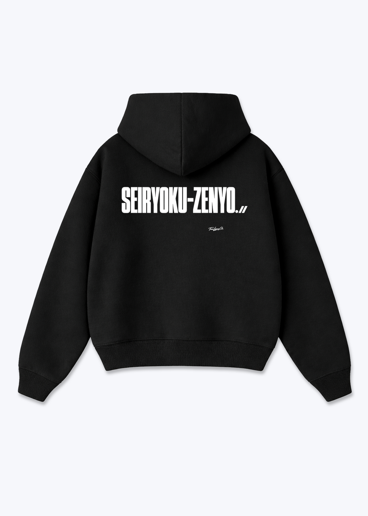 SEIRYOKU-ZENYO - Oversized Hoodie - Black Back (Designed)